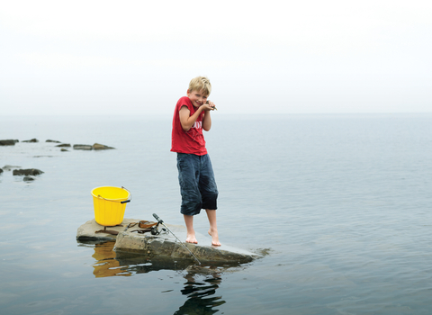 Archie stands on a rock in the sea with a bucket