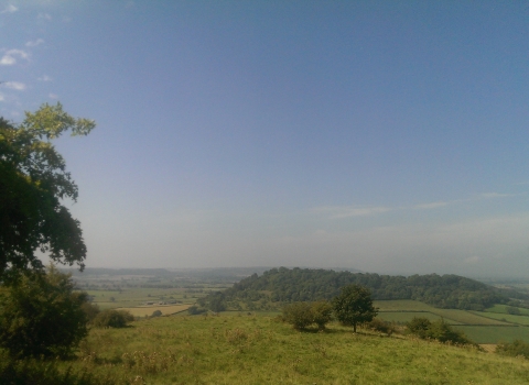 Gilling Down view Rosie Winch