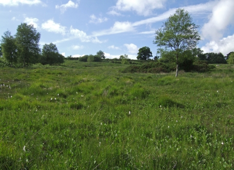 Yarty Moor panoramic view Sarah Fox