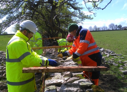 Wainwright volunteers helping to build a dry-stone wall
