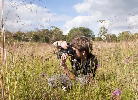 Photography in meadow
