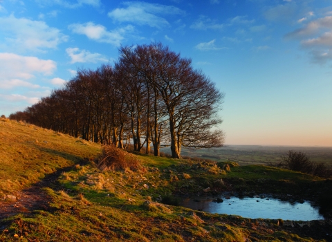 Draycott Sleights nature reserve