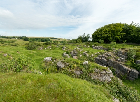 Ubley Warren Nature Reserve