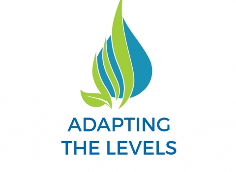 adapting the levels logo