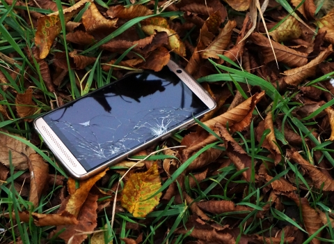 iPhone in Autumn leaves