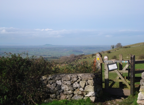 Stone wall and gate at Cooks Field