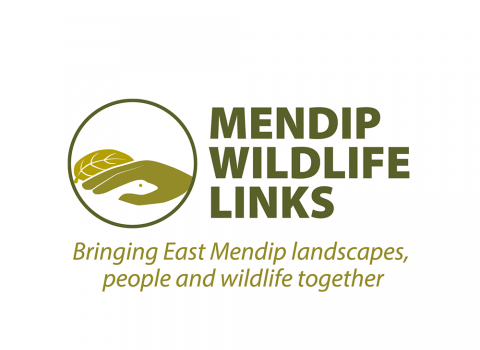 Mendip wildlife links logo
