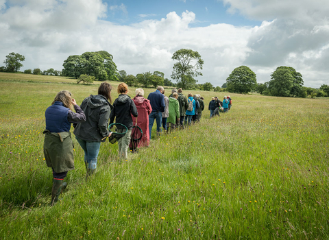 Group walking through a field in Mendip