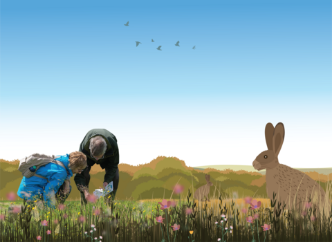 meadow illustration with people and hare in foreground