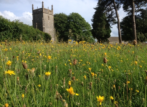 Priddy churchyard