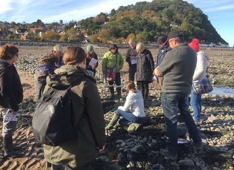 Shoresearch training at Minehead