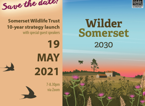 Wilder Somerset 2030 event