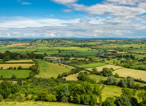 Somerset view over fields