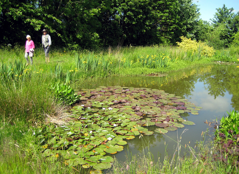 Guests walking around a pond at a Wilder Open Garden