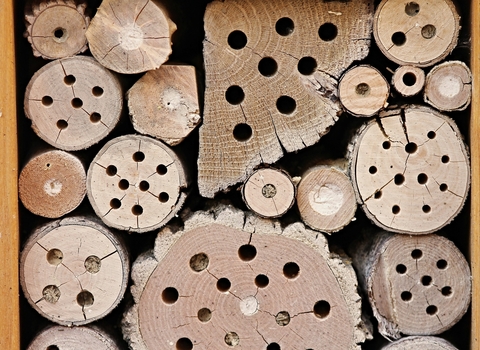 insect hotel