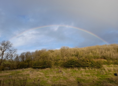 rainbow against grey cloudy sky above woodland.