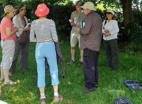 Wildflower ID session attendees gathered under a tree