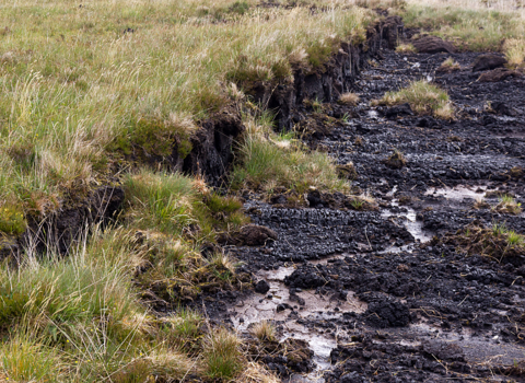 Damaged peatland landscape