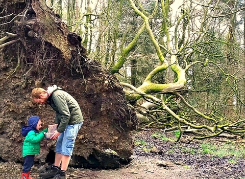 Family finding a geocache