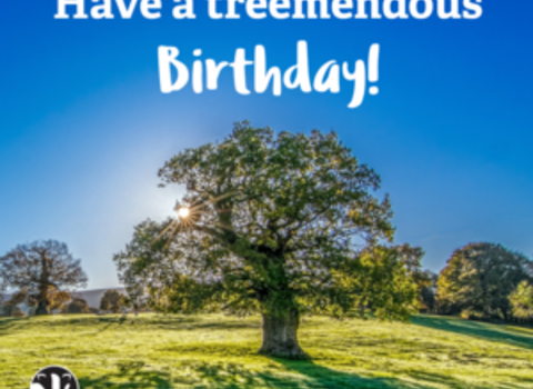 Have a treemendous birthday