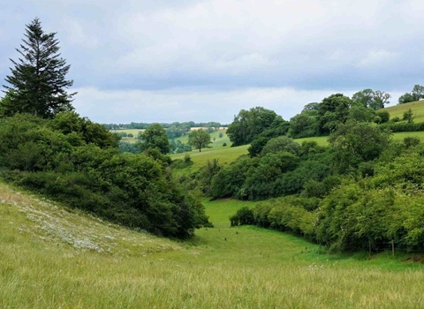 Landscape view at Chesterblade Hills