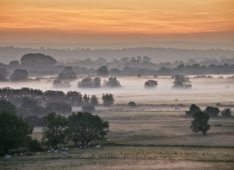 Sunrise over Earlake Moor from Burrow Mump in the Somerset Levels