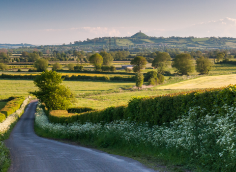 Somerset Levels