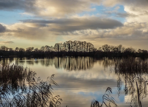 Westhay Moor National Nature Reserve by Frances Barr