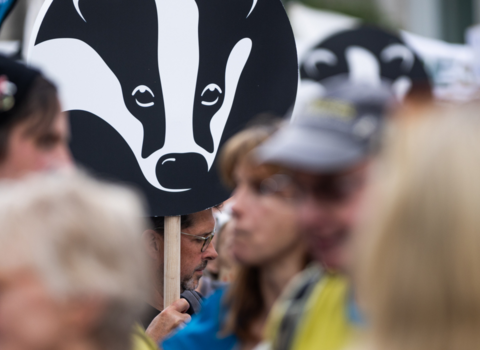 Placard in the shape of The Wildlife Trusts logo.