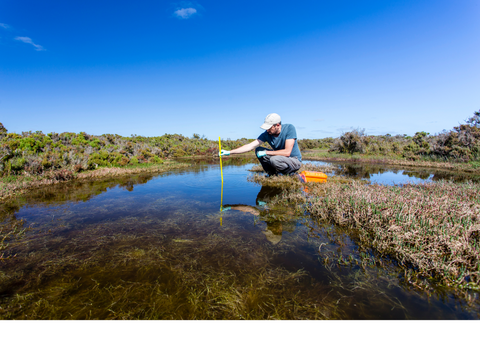 A man collecting water samples