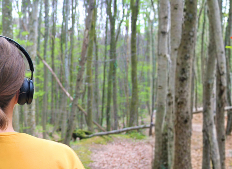 A girl with headphones on standing in woodland