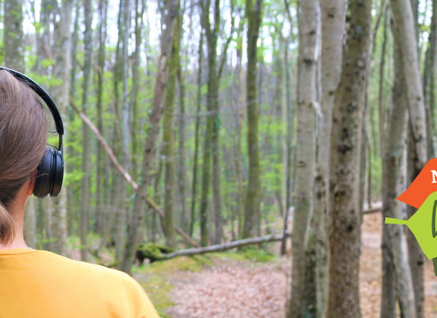 A woman with headphones on, standing in a woodland