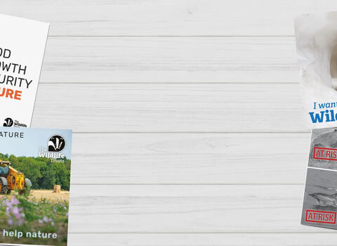 Defend Nature Header 2026