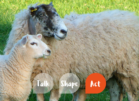Act to Adapt: Spaxton banner ACT