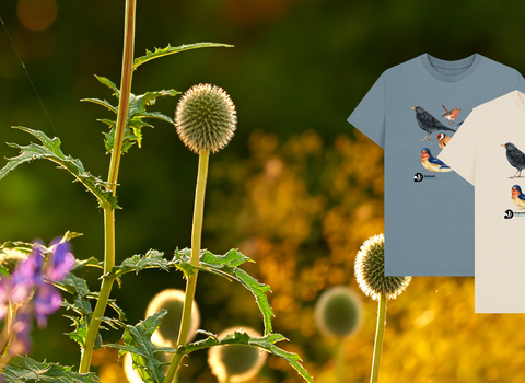 Join in June t-shirt offer banner