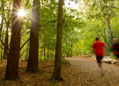 People jogging through woodland