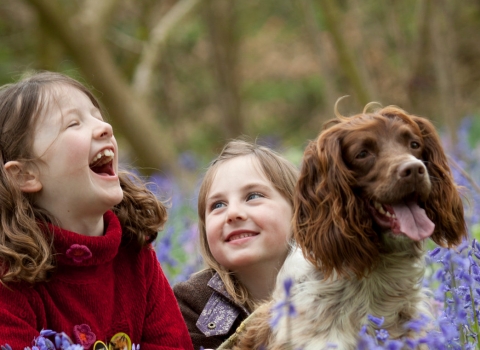 young girls laughing in bluebells with dog