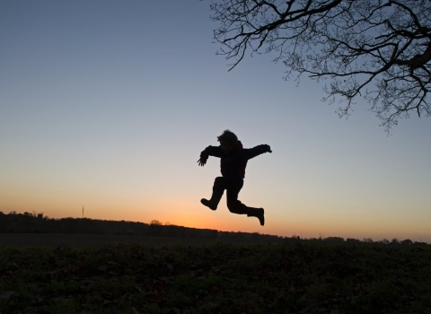 Young boy silhouetted at dusk playing on edge of woodland