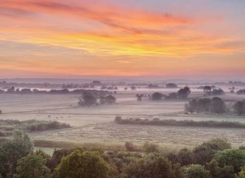 sunrise over the somerset levels