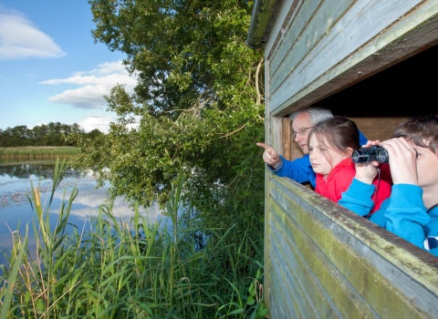 Family birdwatching at Westhay