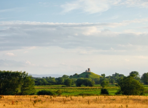 burrow mump from Othery