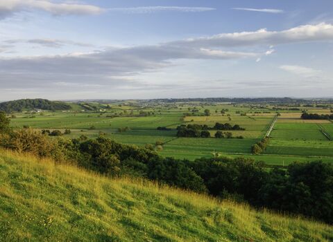 A view across the flat landscape of the Somerset Levels in summertime. Photo taken from a hill side, with the grassy slope in the foreground and the flat fields, criss-crossed with ditches, stretching into the background.
