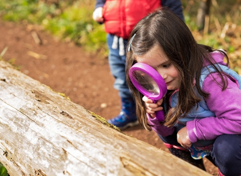 Girl looks through magnifying glass at log