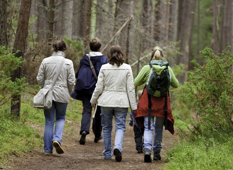 Four women and young child walking through a forest