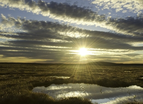 Pool system on peat bog, Scotland