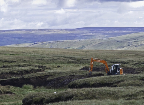 Peat, Yorkshire