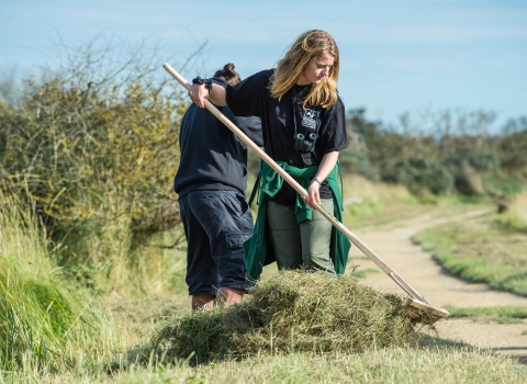 Women rakes up cuttings as part of a volunteering session