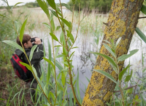 Boy birdwatching at Westhay Moor