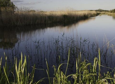 Somerset Levels