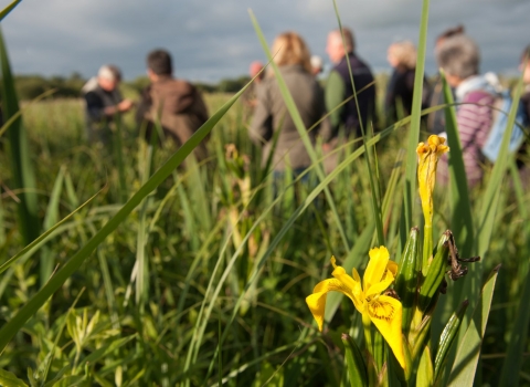 Group of adults learning about plants